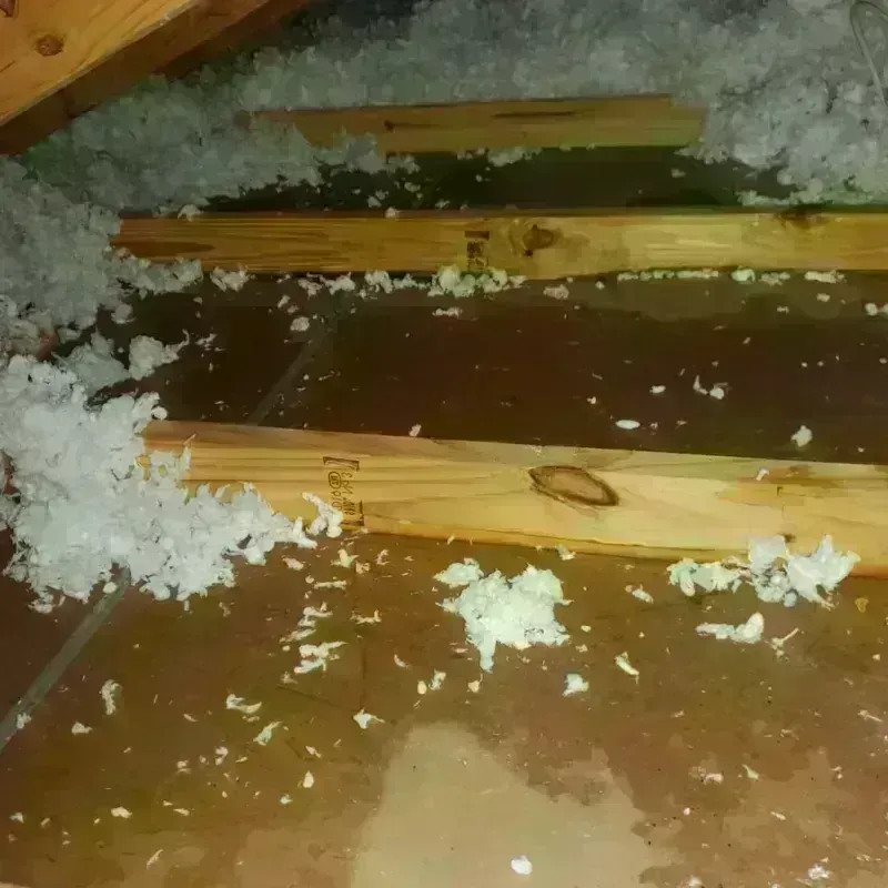 Attic Water Damage in Tyndall Air Force Base, FL